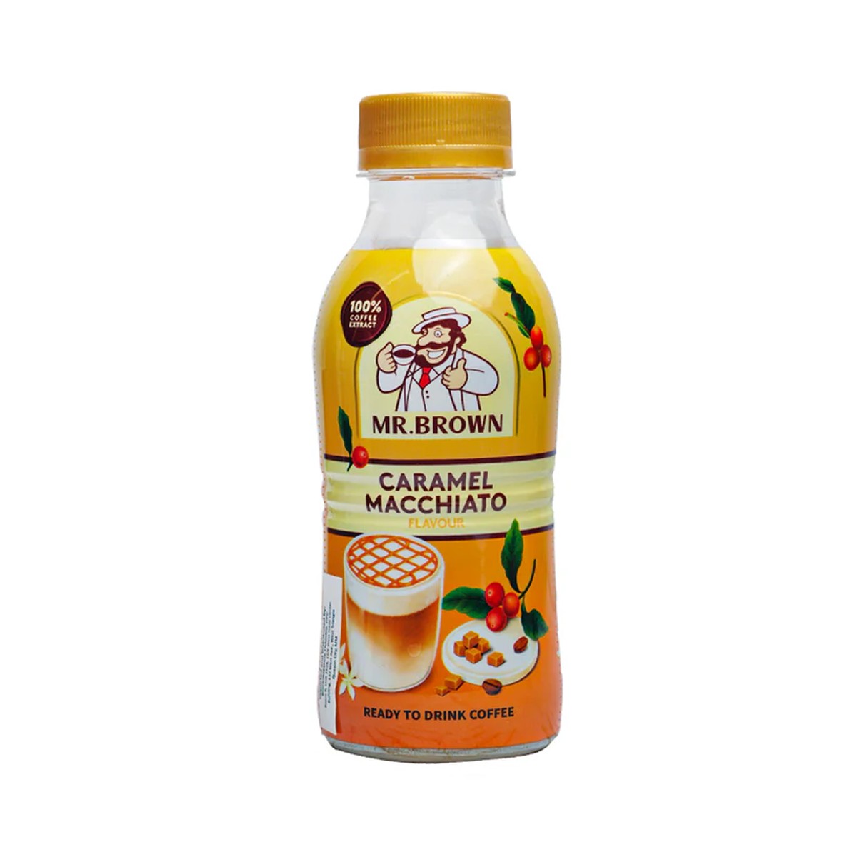 MR.BROWN- Pet Coffee Series (Caramel Macchiato Flavour) 330ml