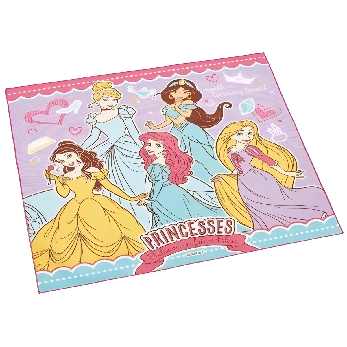 Skater- Lunch Cloth Princess 24 KB4