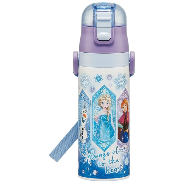 Skater- One-push direct stainless steel bottle with compact lock - Frozen (25)