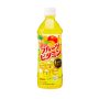 Sangaria- Refreshing Fruit Vitamin 500ml