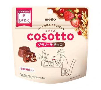 Meito Sangyo- Sneaky Granola Chocolate 49g